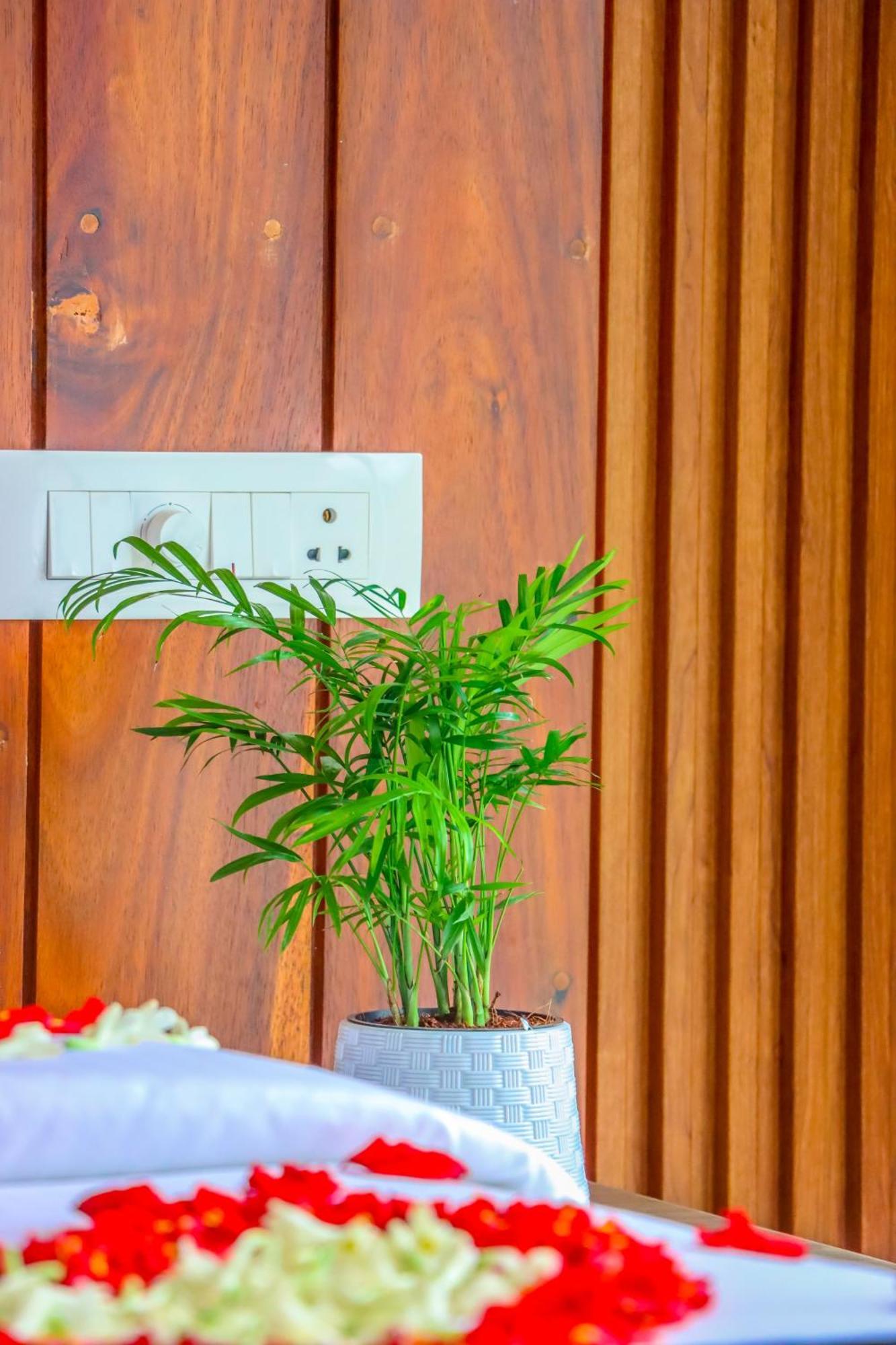 Winter Note Resorts Munnar Ngoại thất bức ảnh